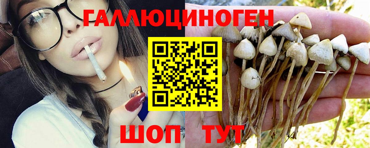 Галлюциногенные грибы мицелий Рубцовск